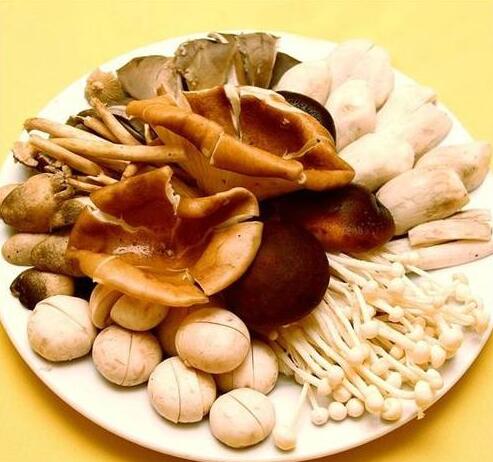 福州市鲵泰生物科技有限公司